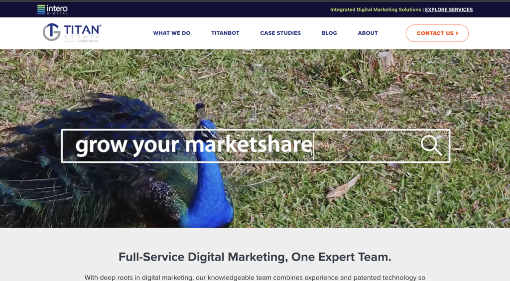 Top California digital agencies